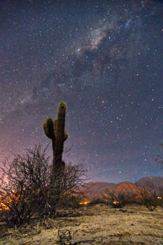 Cactus and the Milky Way