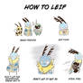 how to leif