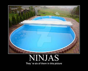 Ninjas