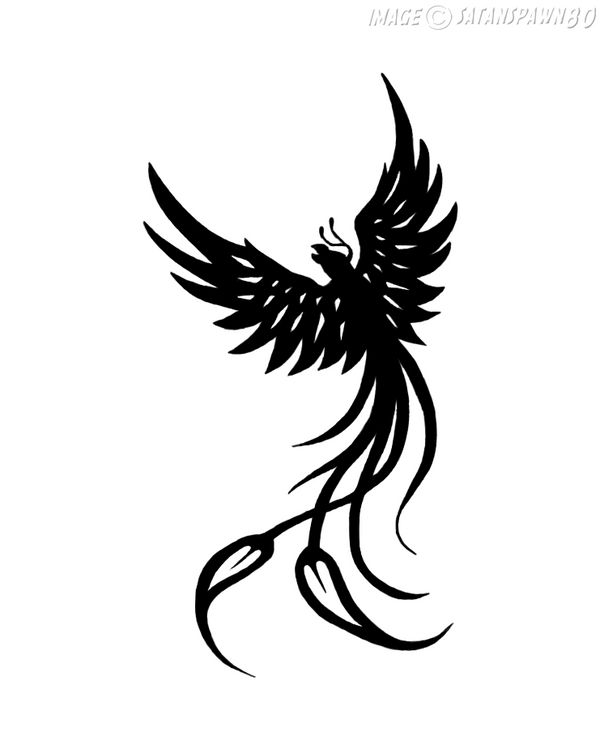 Phoenix Tattoo by satanspawn80