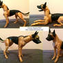 German Shepherd bjd