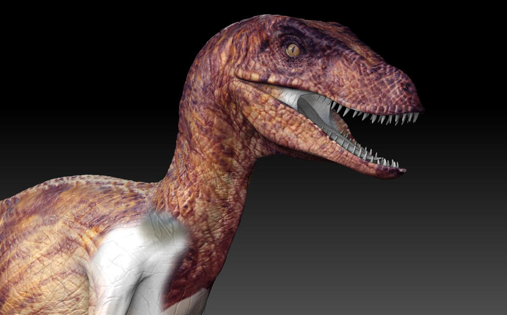 Starting the Raptor Texture by Mcflyhigh1 on DeviantArt