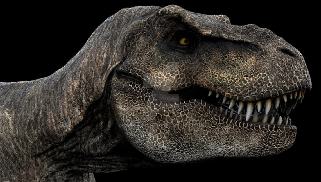 Rexy Design Rexy Remodel by Mcflyhigh1 on DeviantArt