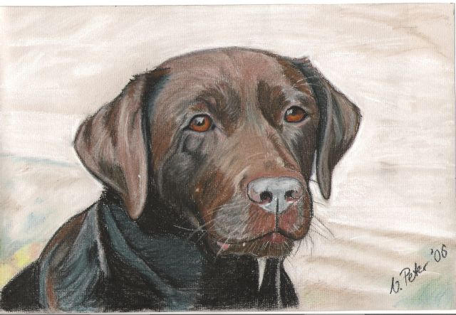 Black Lab Deviantart Black Labrador by fauna-art on DeviantArt