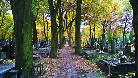 Cemetery October 2015 HDR
