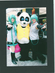 Miku, Mikuo and Mister Panda!