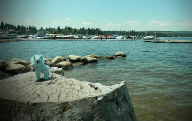 Trixie at Payette Lake, ID