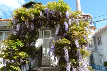 Charming doorstep