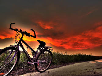 Cycle in the sunset