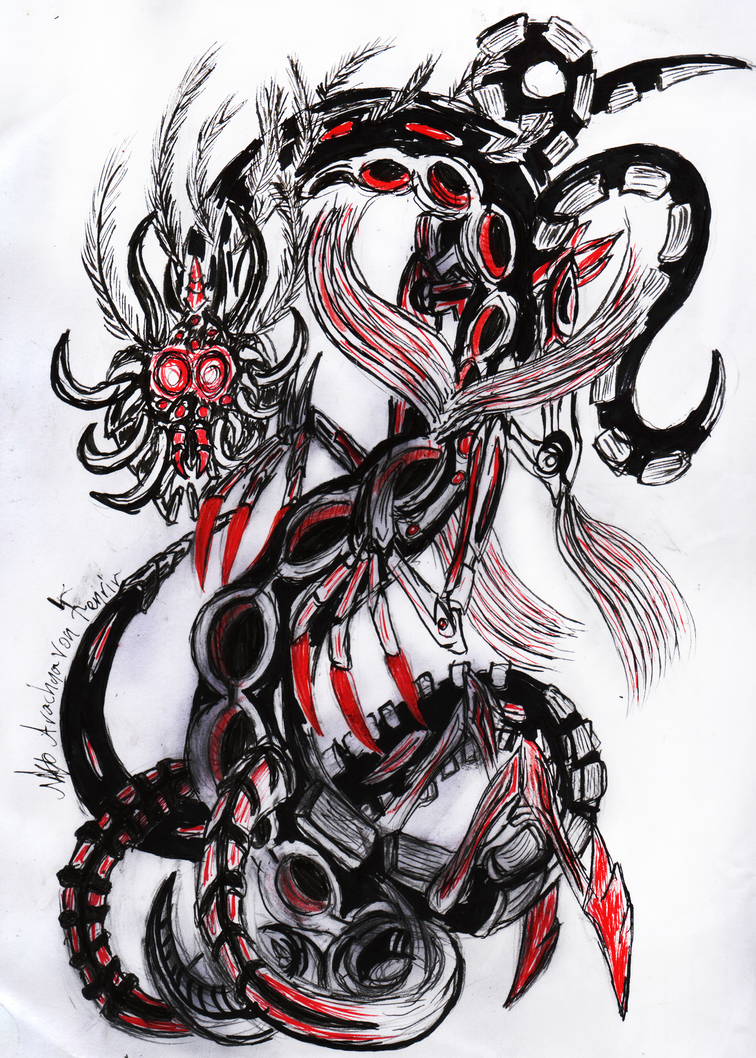 Shelless by AerachnaOdNagren on DeviantArt