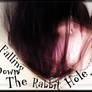 Falling Down the Rabbit Hole..