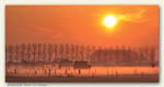 Sunrise 2 by bartdebruyn