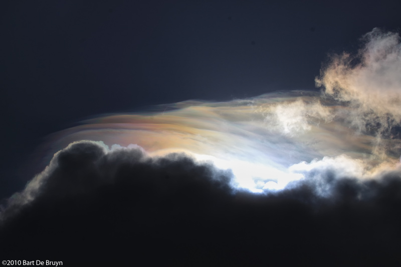 Pileus with irisation 4