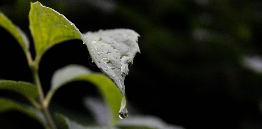 Droplet...