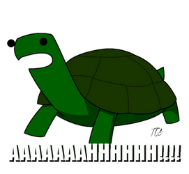 Screaming Derp Turtle!