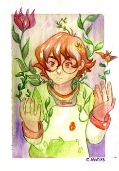 Pidge - Plant