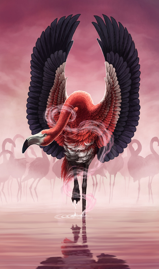 Curse of the Flamingo