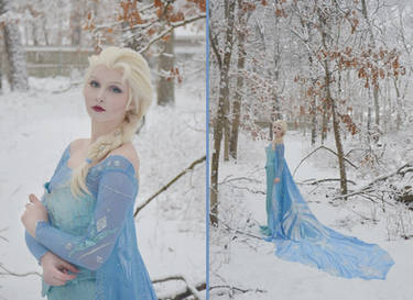 Elsa The Snow Queen