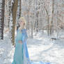 Elsa The Snow Queen II