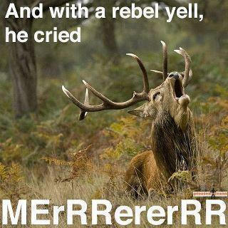 With a Rebel Yell