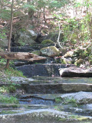 Water and Stone