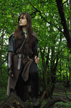 Lady Aragorn 1