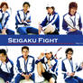 Tenimyu: Seigaku Fight