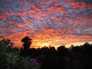 atardecer en toosantos