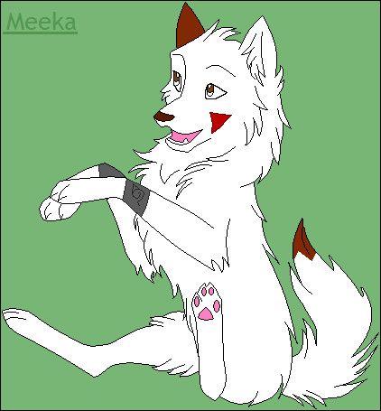 Meeka Inuzuka