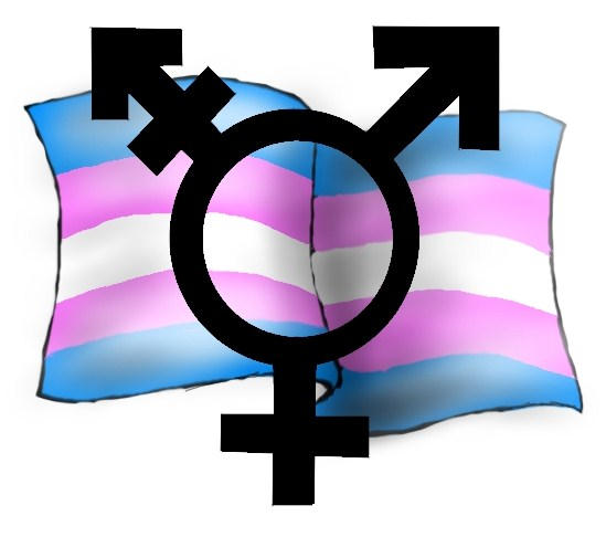 Transgender Flag/symbol by brodyjs on DeviantArt