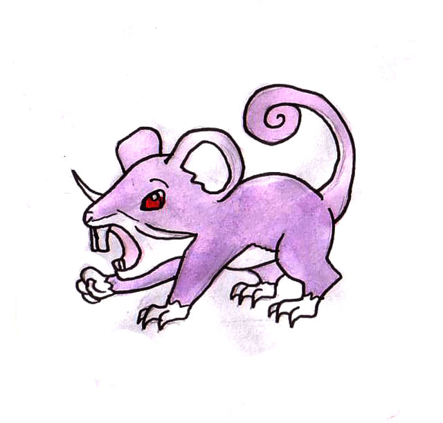 Rattata