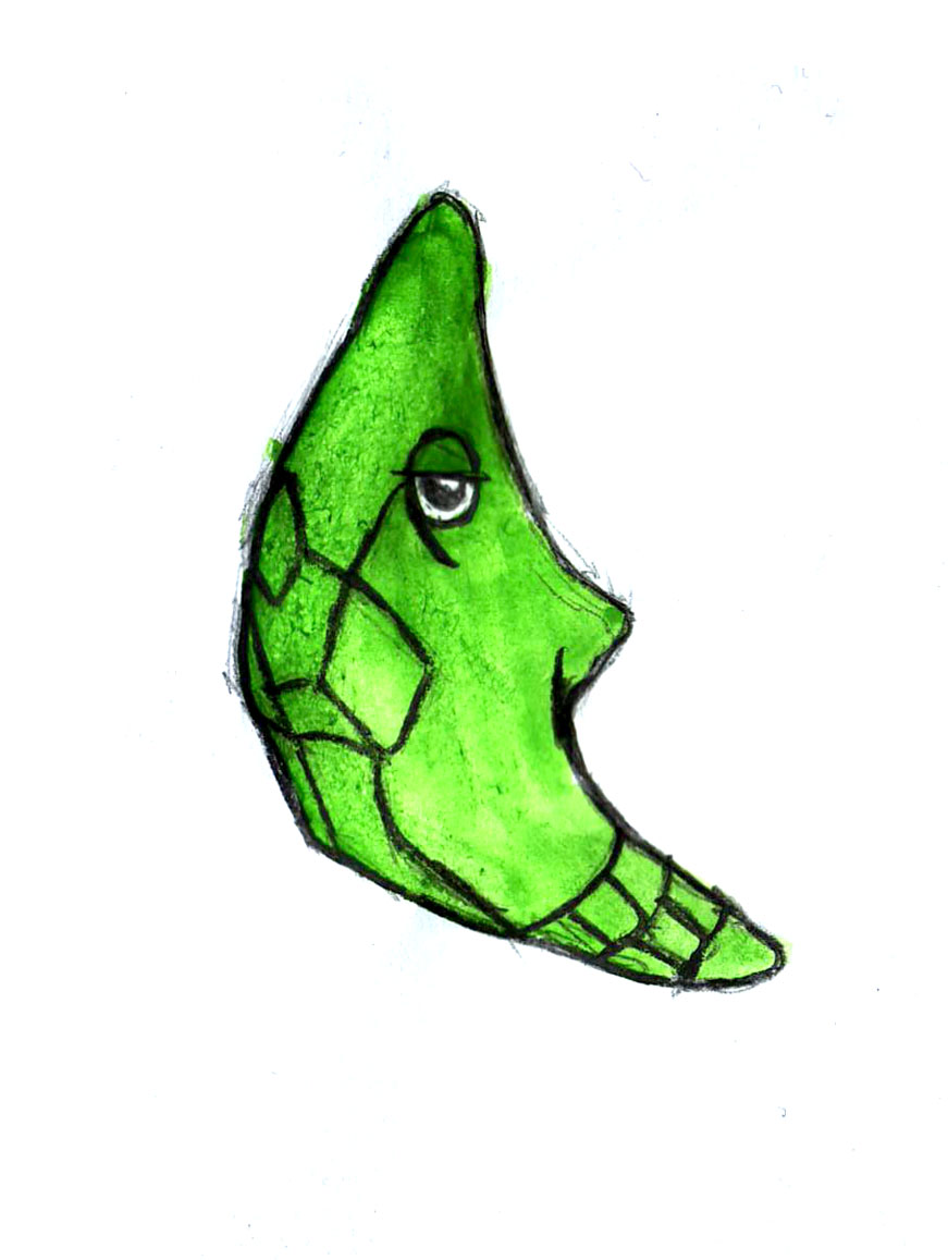 Metapod