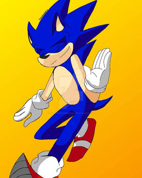 Gotta go fast ~Sonic