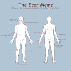 The Scar MEME
