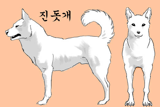 Korean Dog Jindogae