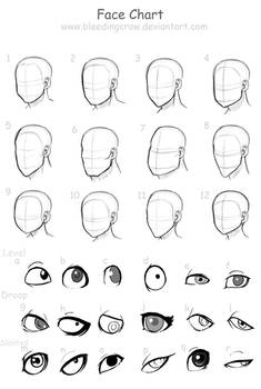 Face Chart