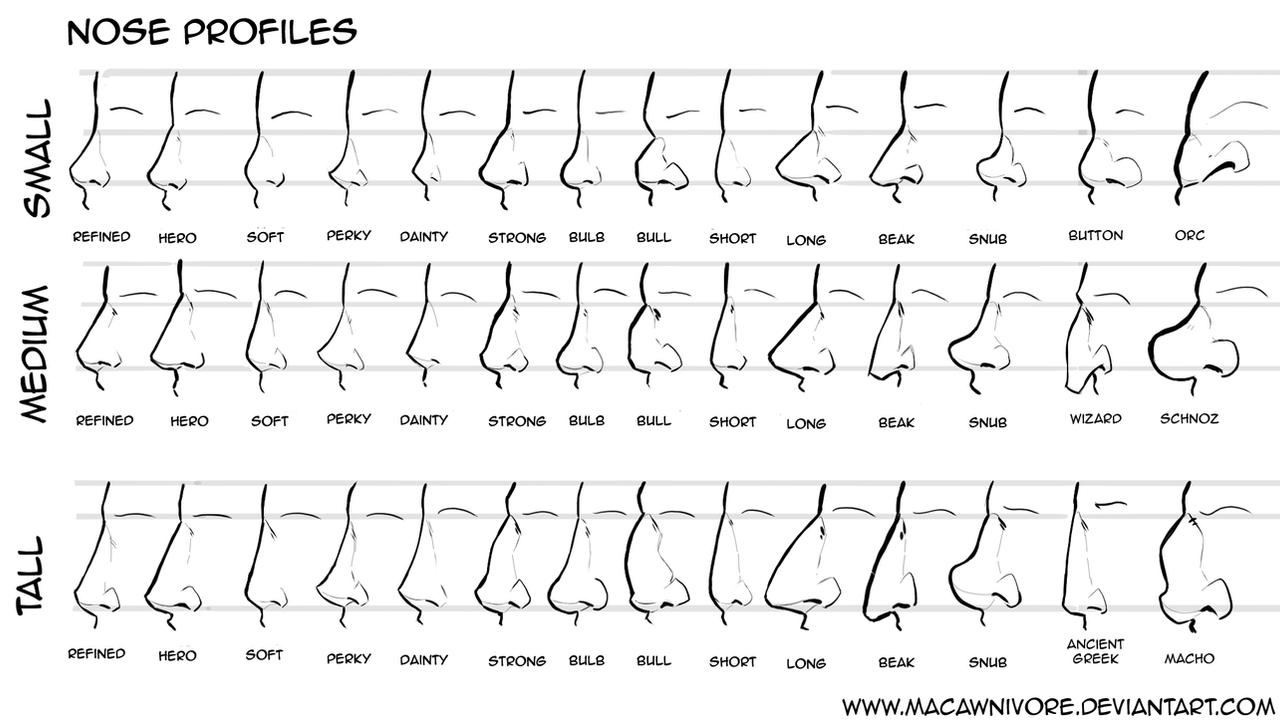 Nose Chart Reference by macawnivore on DeviantArt