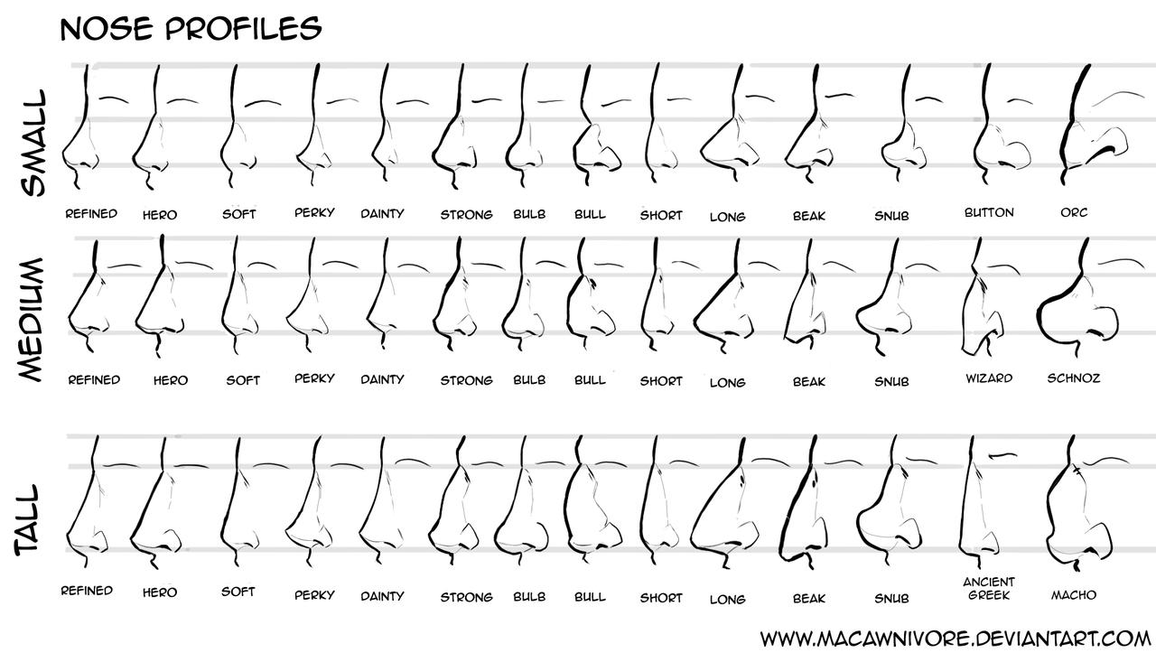Nose Chart Reference by macawnivore on DeviantArt Nose Chart Reference by macawnivore on DeviantArt
