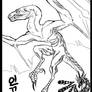 Wyvern Anatomy Study