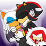 Shadow and Rouge WTH?