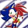 Shadic the hedgehog ( Colored Correctly )