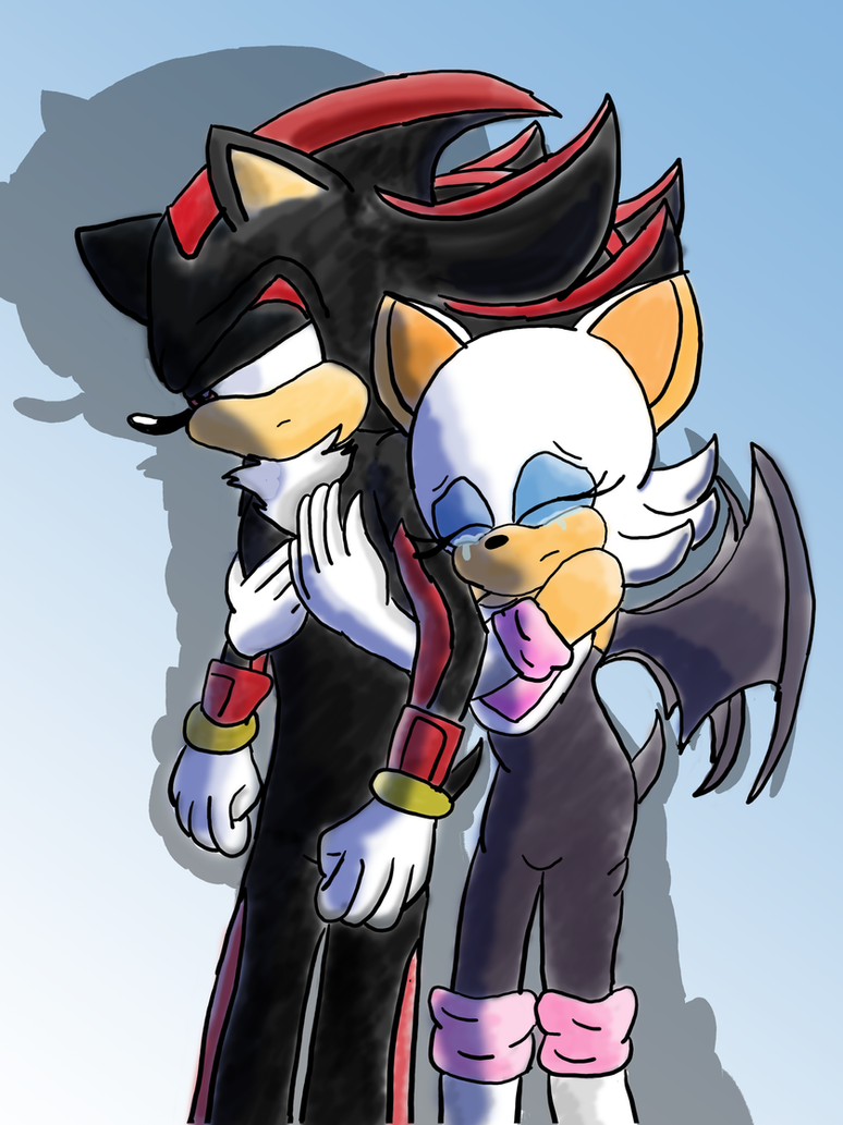 Shadow Rouge Wolf Shadow and Rouge : I'll always remain by your side by The-Nina ...
