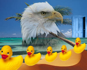 spirit eagle, ducky paradise