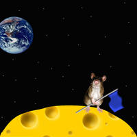 Cheese Moon