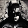 Batman Rises