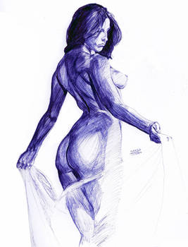 Ballpoint Sketch