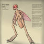 Fly-man