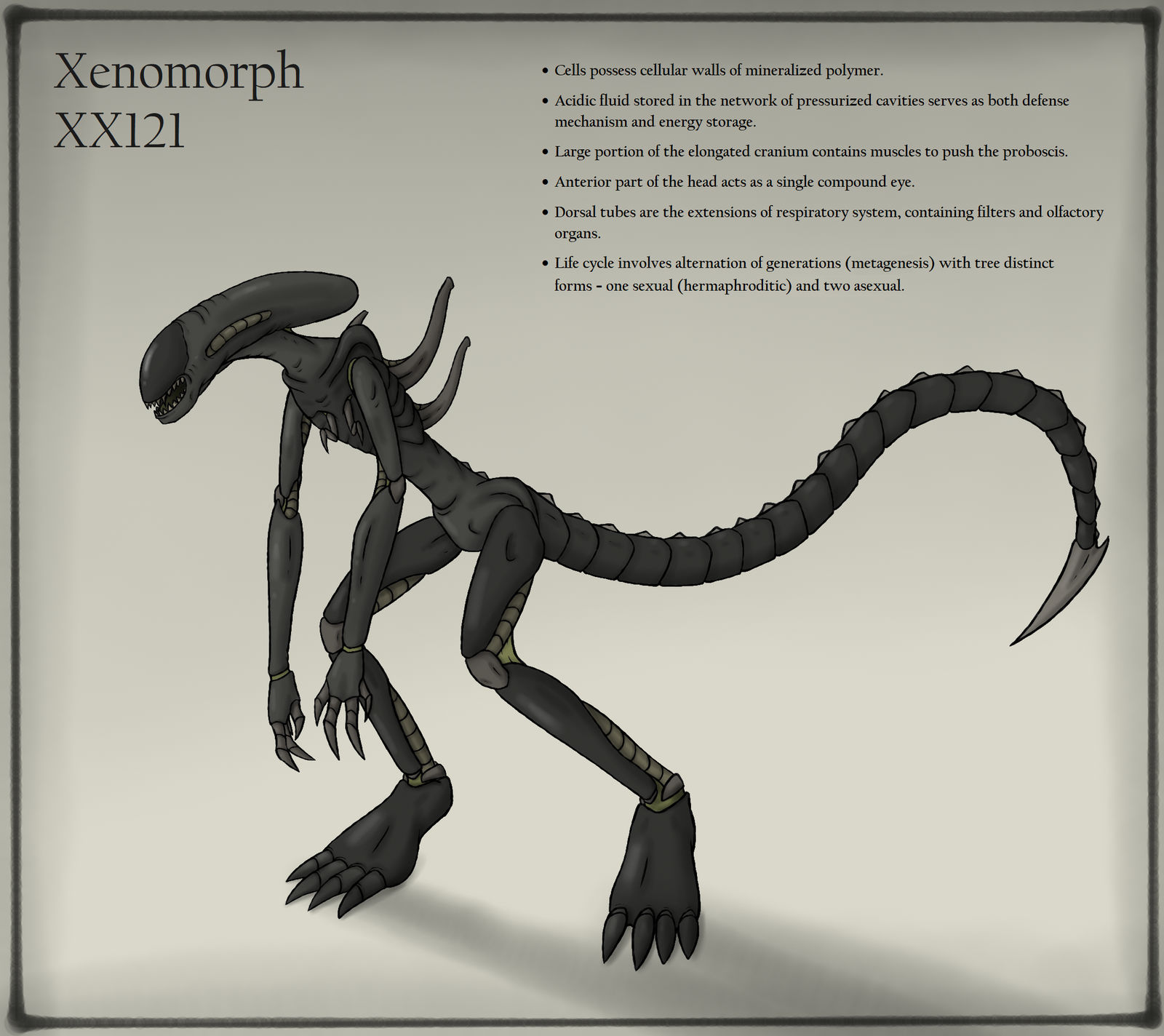 Xenomorph design/ideas