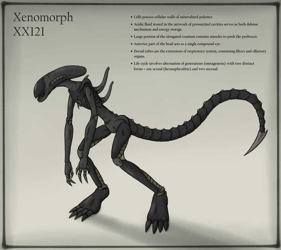 Zenomorph Design Xenomorph design/ideas by BananaScholar on DeviantArt
