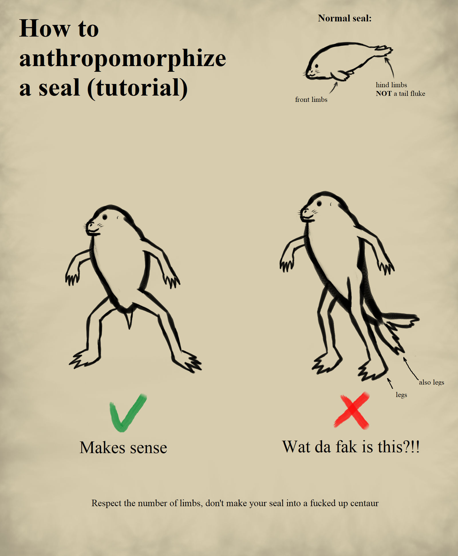 How to anthropomorphize a seal by BananaScholar on DeviantArt
